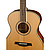 Акустическая гитара Parkwood P620