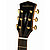 Электроакустическая гитара Parkwood P880