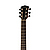 Акустическая гитара Parkwood S-Mini