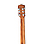 Акустическая гитара Parkwood S22-GT