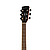 Акустическая гитара Parkwood W81