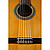 Классическая гитара Perez 610