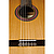 Классическая гитара Perez 620