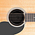 Заглушка для розетки гитары Planet Waves PW-SH-01