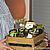Подарочный набор с беспроводными наушниками в деревянном ящике "МУЗЫКА СРЕДИЗЕМНОМОРЬЯ"