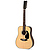 Акустическая гитара Sigma Guitars DM12-1