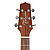 Электроакустическая гитара Takamine P1JC