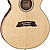 Электроакустическая гитара Takamine TSP138C