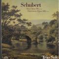 Виниловая пластинка ВИНТАЖ - SCHUBERT - TRIO OPUS 99, NOTTURNO OPUS 148 (TRIO SUK)