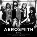 Виниловая пластинка AEROSMITH - BEST OF LIVE AT THE MUSIC HALL, BOSTON, 1978