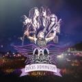Виниловая пластинка AEROSMITH - ROCKS DONINGTON 2014 (COLOUR, 3 LP + DVD)