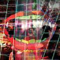 ANIMAL COLLECTIVE - CENTIPEDE HZ (2 LP)