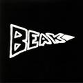 Виниловая пластинка BEAK - BEAK (RECORDINGS 05.01.09 > 17.01.09) (2 LP)