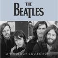 BEATLES - ANTHOLOGY COLLECTION (BOX SET, 12 LP, 180 GR)