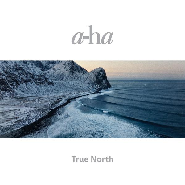 цена A-HA A-HA - True North (deluxe, Limited, 45 Rpm, 2 Lp, 180 Gr + Cd)
