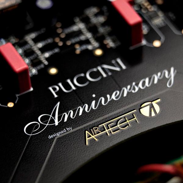 Стереоусилитель Audio Analogue Puccini Anniversary Black - фото 3