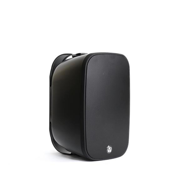 

Всепогодная акустика AuraSonics, DENSE-6T Black