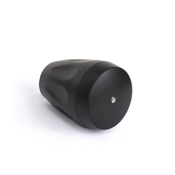 Подвесной громкоговоритель AuraSonics FLORET-4T Black, Профессиональное аудио, Подвесной громкоговоритель