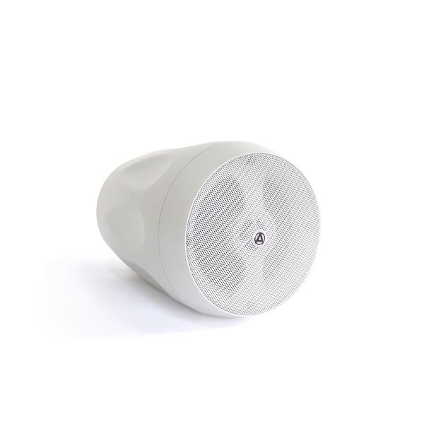 Подвесной громкоговоритель AuraSonics FLORET-4T White, Профессиональное аудио, Подвесной громкоговоритель