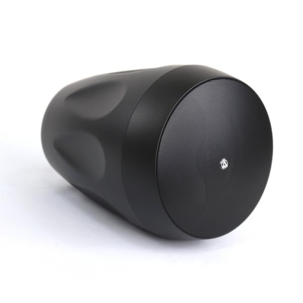 Подвесной громкоговоритель AuraSonics FLORET-6T Black, Профессиональное аудио, Подвесной громкоговоритель