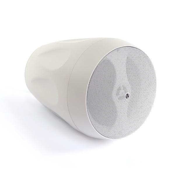 цена Подвесной громкоговоритель AuraSonics FLORET-6T White