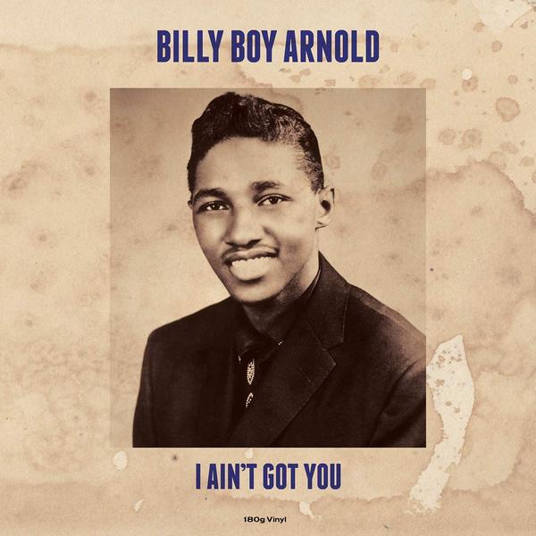 Фото - Billy Boy Arnold Billy Boy Arnold - The Singles Collection (180 Gr) arnold lobel arnold lobel audio collection