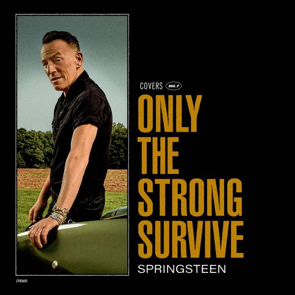 Bruce Springsteen Bruce Springsteen - Only The Strong Survive (limited, Colour, 2 LP) bruce springsteen bruce springsteen greatest hits 2 lp