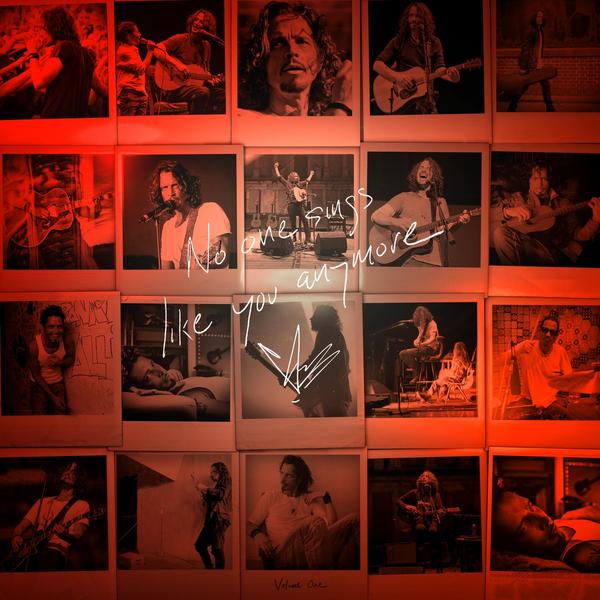 Chris Cornell Chris Cornell - No One Sings Like You Anymore виниловая пластинка universal music chris cornell no one sings like you anymore lp