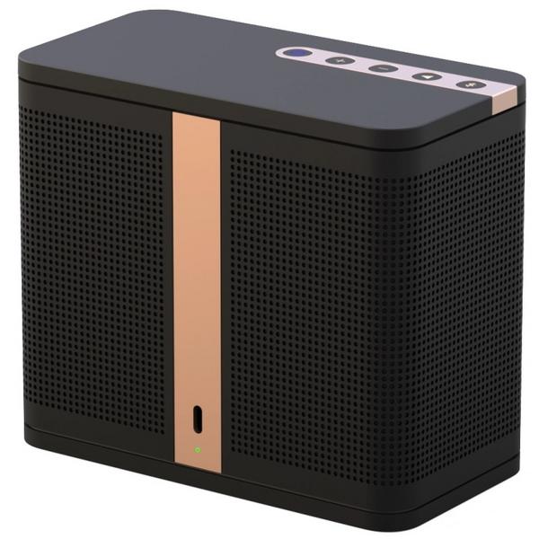 

Портативная колонка ELAC, NAVA100 Black