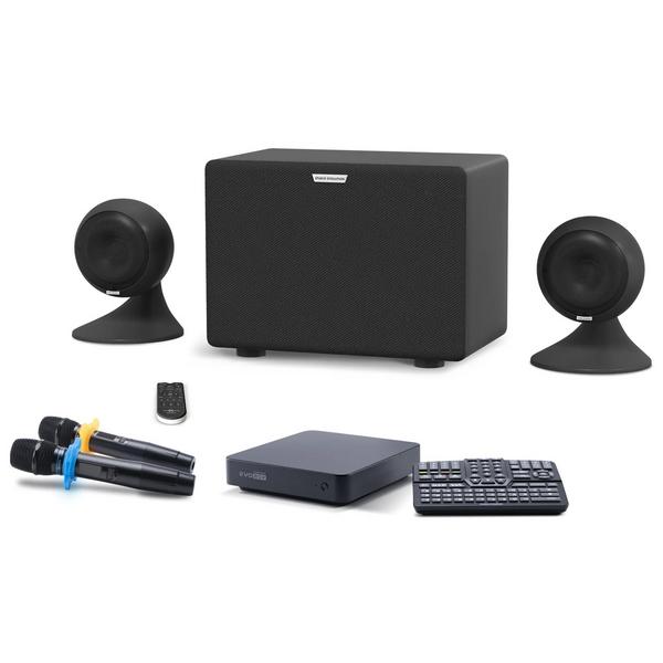 Караоке-система Evolution Комплект для караоке EVOBOX с микрофонами и стереосистемой Black/Black, Профессиональное аудио, Караоке-система