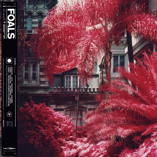 FOALS FOALS - Everything Not Saved Will Be Lost Pt. 1 (180 Gr)