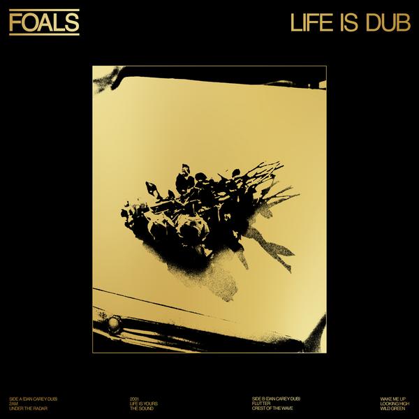 FOALS FOALS - Life Is Dub (limited, Colour) foals foals life is yours limited colour white