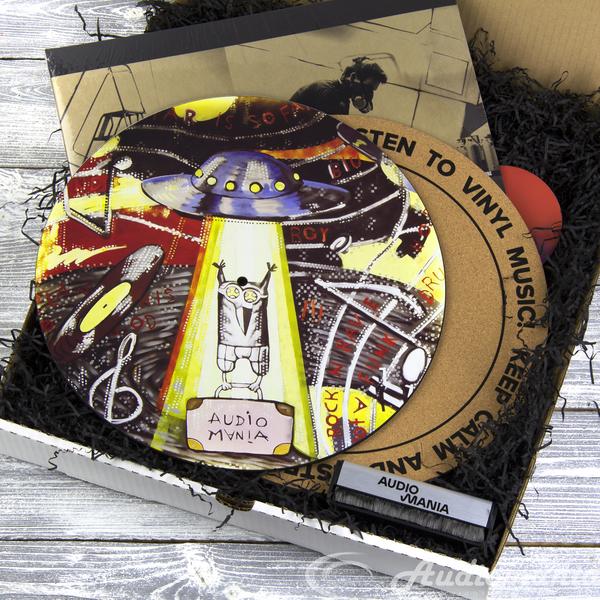 Подарочный набор с виниловой пластинкой Audiomania Подарочный набор с аксессуарами ВИНИЛОВОД с виниловой пластинкой Linkin Park, Подарки для любителей музыки, Подарочный набор с виниловой пластинкой