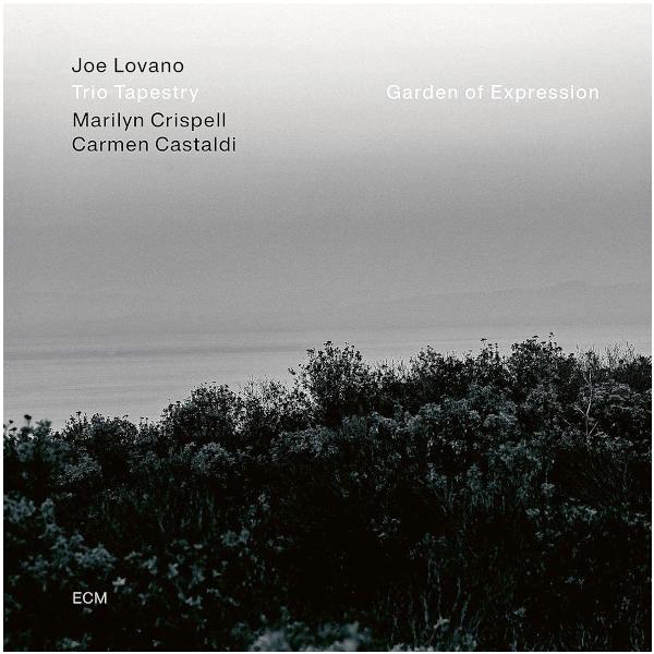 Joe Lovano Joe Lovano Trio Tapestry - Garden Of Expression (180 Gr) (уценённый Товар)