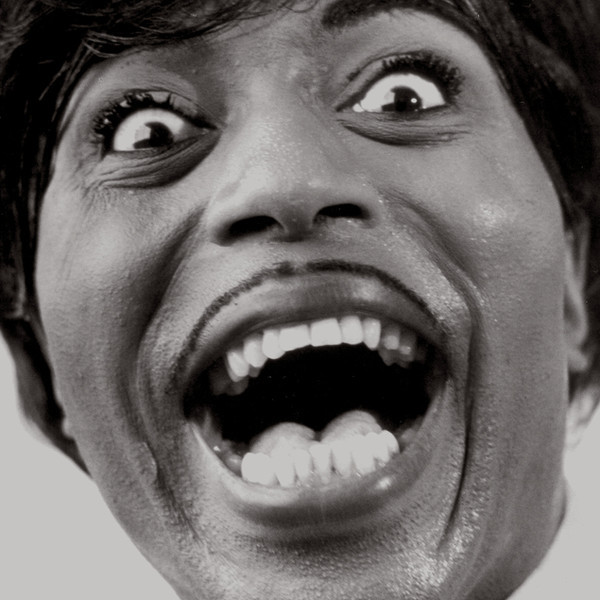 Little Richard - Mono Box: The Complete Specialty And Vee-jay Albums (5 LP) от Audiomania