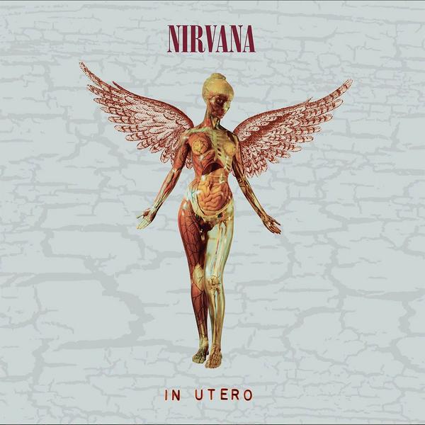 Nirvana Nirvana - In Utero (box Set, 8 Lp, 180 Gr) nirvana nirvana in utero 180 gr