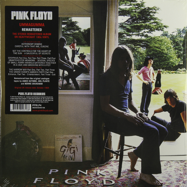 Pink Floyd Pink Floyd - Ummagumma (2 Lp, 180 Gr) pink floyd ummagumma 2lp щетка для lp brush it набор