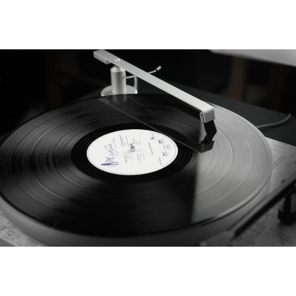 Товар (аксессуар для виниловых проигрывателей) Pro-Ject от Audiomania