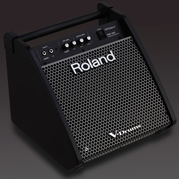 Монитор для барабанов Roland PM-100 - фото 4