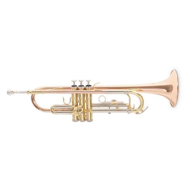 Труба Roy Benson TR-202GB Bb, Музыкальные инструменты и аппаратура, Труба