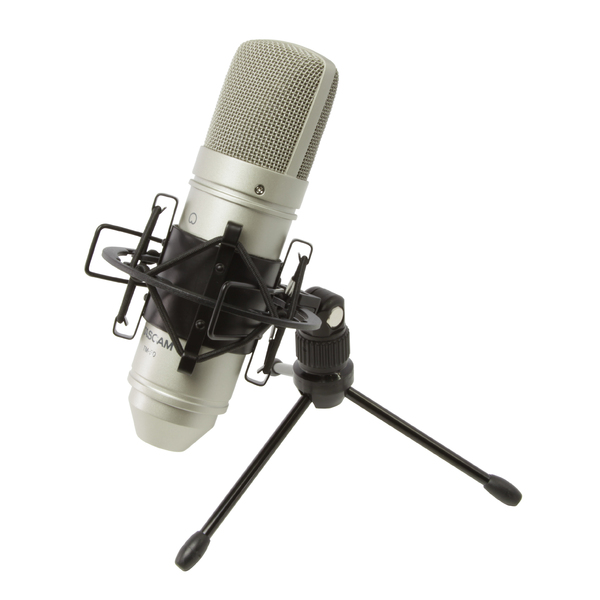 Студийный микрофон TASCAM TM-80 Silver, Профессиональное аудио, Студийный микрофон