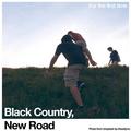 Виниловая пластинка BLACK COUNTRY, NEW ROAD - FOR THE FIRST TIME