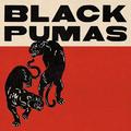 Виниловая пластинка BLACK PUMAS - BLACK PUMAS (DELUXE, 2 LP + 7")