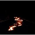 CD-диск BOB MOSES - BATTLE LINES