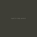 BRING ME THE HORIZON - THAT'S THE SPIRIT
