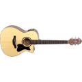 Crafter HT-100CE