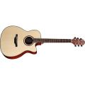 Crafter HT-250CE