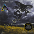 Виниловая пластинка DAVID GILMOUR - RATTLE THAT LOCK (180 GR)