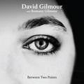 Виниловая пластинка DAVID GILMOUR WITH ROMANY GILMOUR - BETWEEN TWO POINTS (LIMITED, COLOUR)
