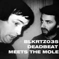 DEADBEAT & THE MOLE - DEADBEAT MEETS THE MOLE (2 LP)